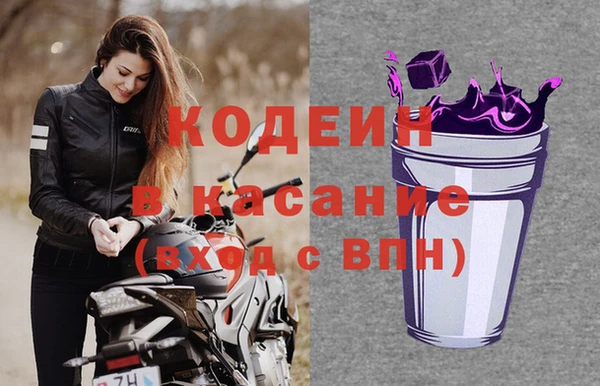 трава Медвежьегорск
