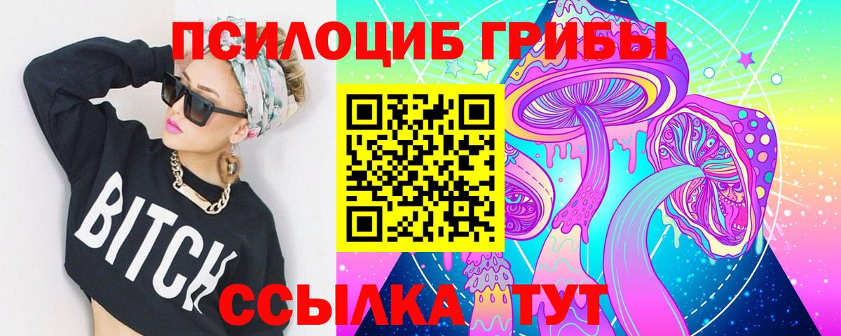 Галлюциногенные грибы Psilocybine cubensis Топки