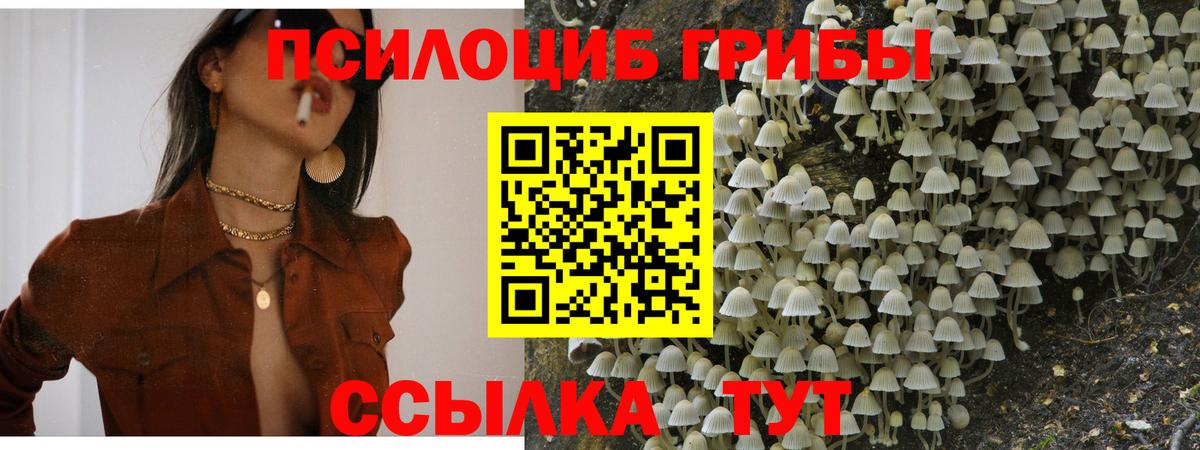 Галлюциногенные грибы прущие грибы  Вход с VPN  Топки 